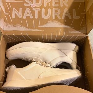 Allbirds Men's Couriors in White